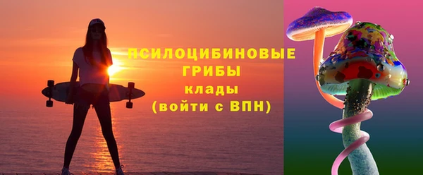 прущие грибы Аркадак