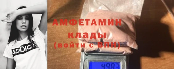 прущие грибы Аркадак