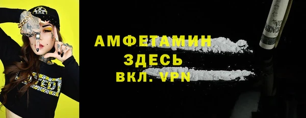 прущие грибы Аркадак