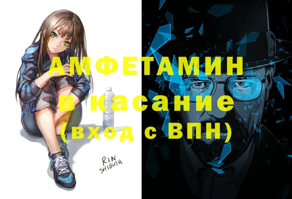 прущие грибы Аркадак