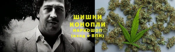 прущие грибы Аркадак