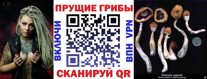 Галлюциногенные грибы Cubensis Онега